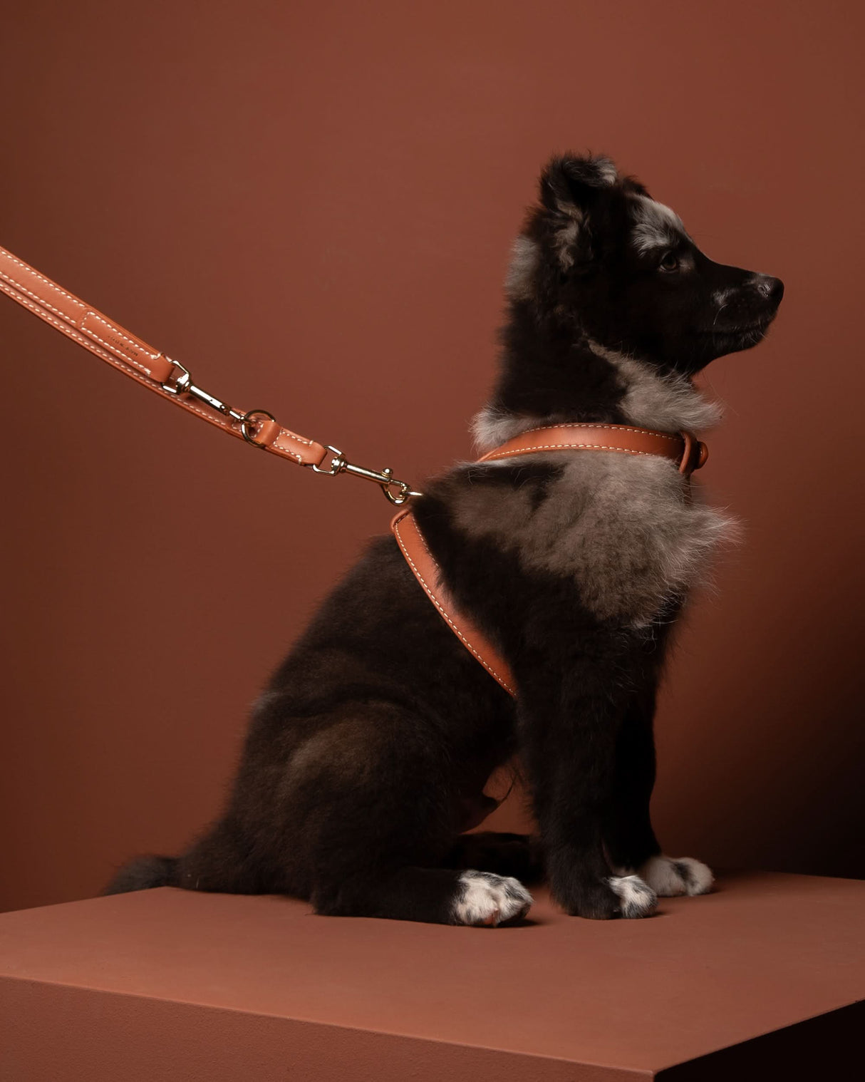 GABRIELE FREE-HANDS LONG LEATHER DOG LEASH | רצועת עור ארוכה ומתכווננת לכלבים