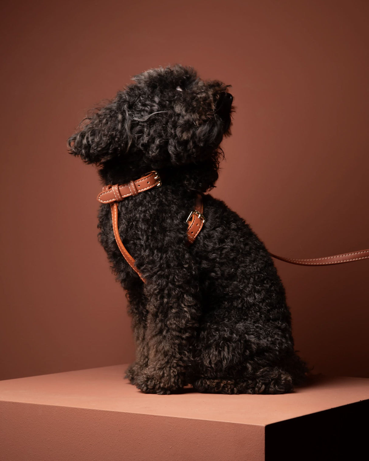 GABRIELE FREE-HANDS LONG LEATHER DOG LEASH | רצועת עור ארוכה ומתכווננת לכלבים