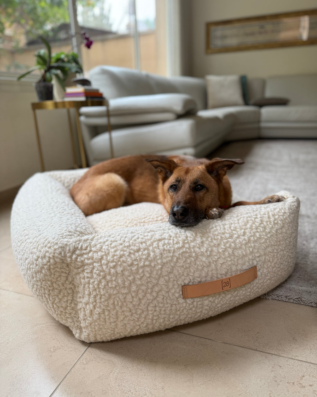 מיטה לכלב מצמר בוקלה טבעי | HENRI DOG BED