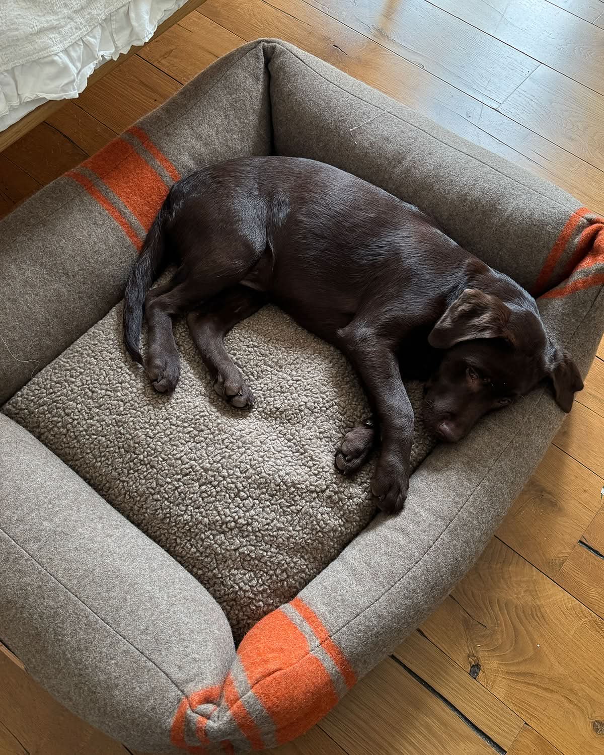 HENRI RECYCLED WOOL DOG BED | מיטה לכלב