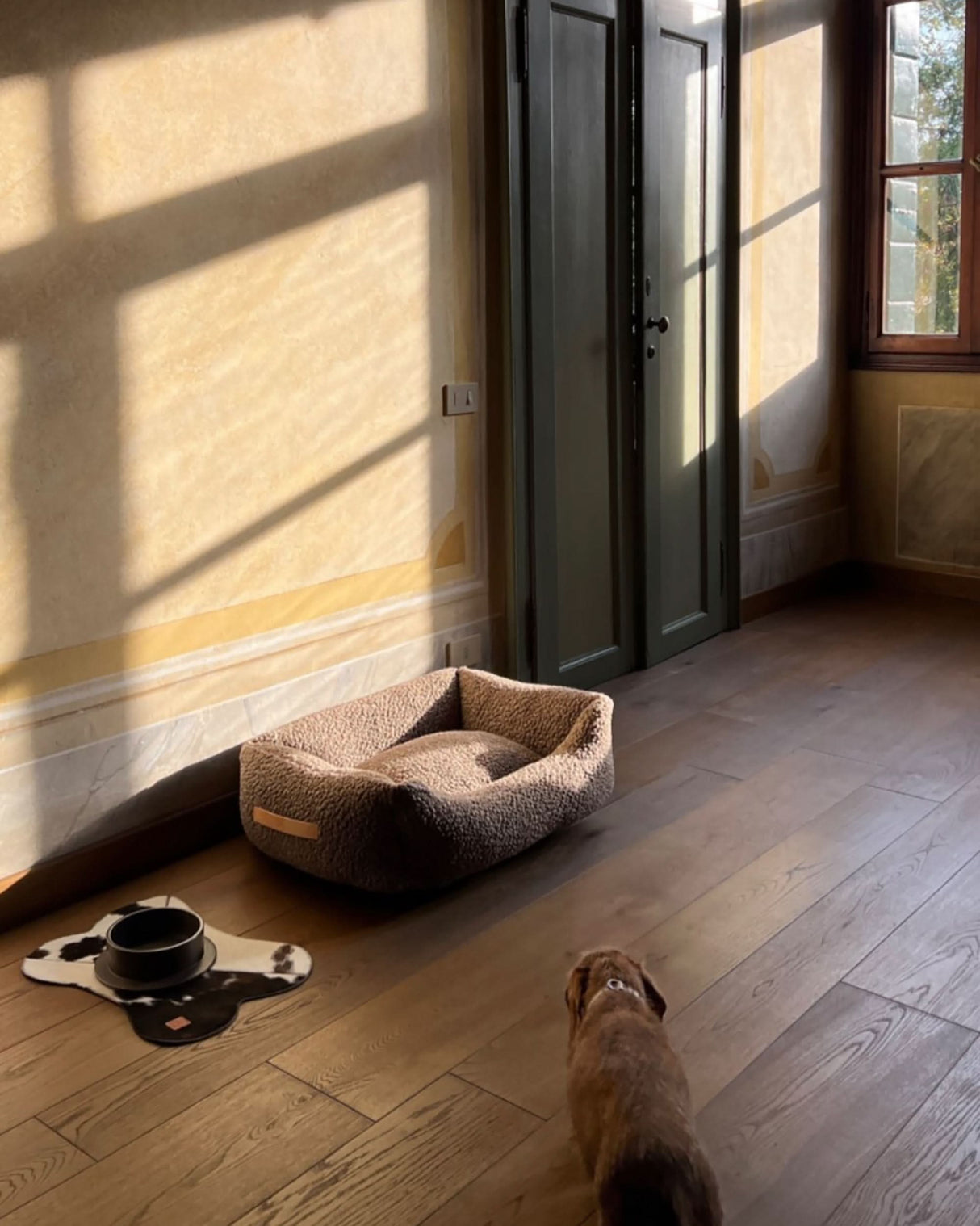 HENRI BOUCLÉ WOOL DOG BED | מיטה לכלב