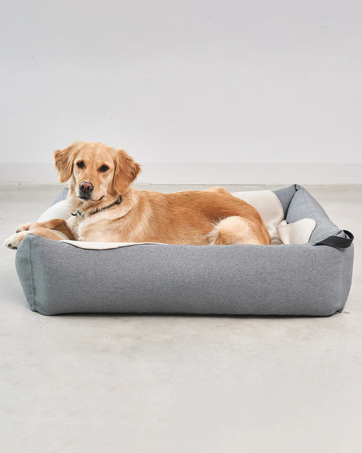 UNICA DOG FLEECE BLANKET | שמיכת פליז לכלב
