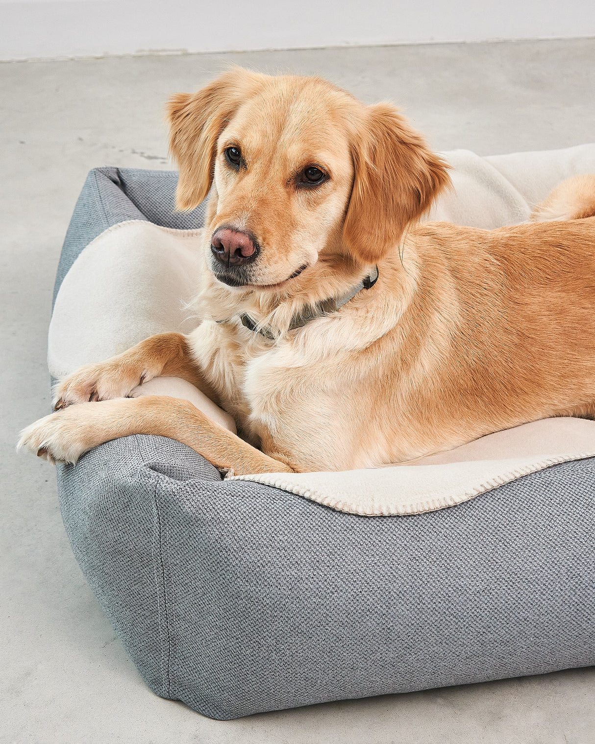 UNICA DOG FLEECE BLANKET | שמיכת פליז לכלב