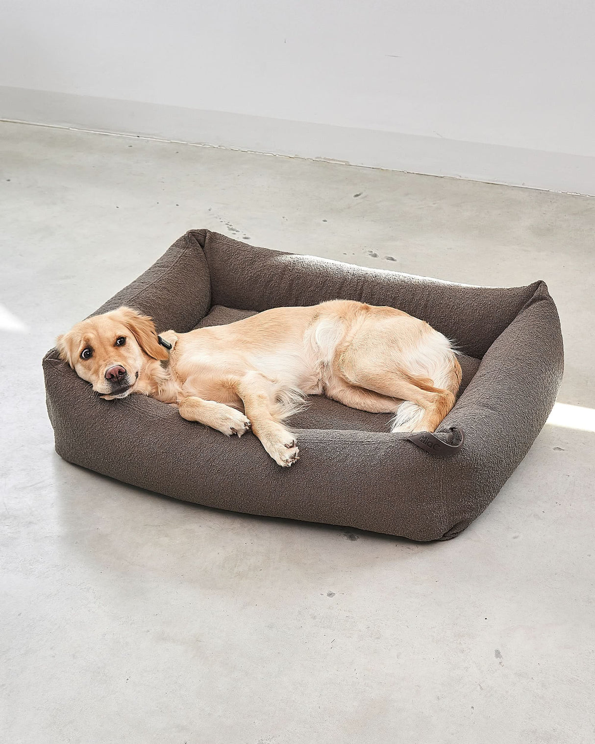 מיטה אורתופדית לכלב | MONDO DOG BOX BED