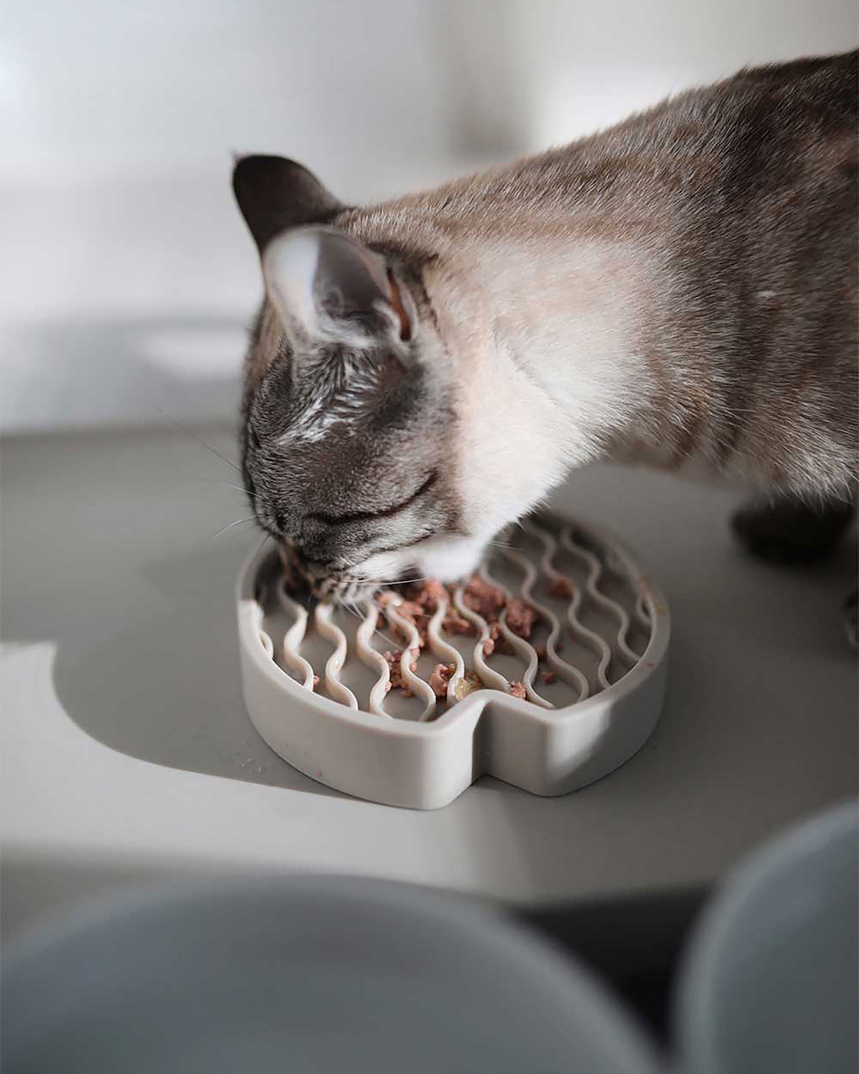 PESCE CAT ACTIVITY צעצוע | משטח ליקוק לחתולים