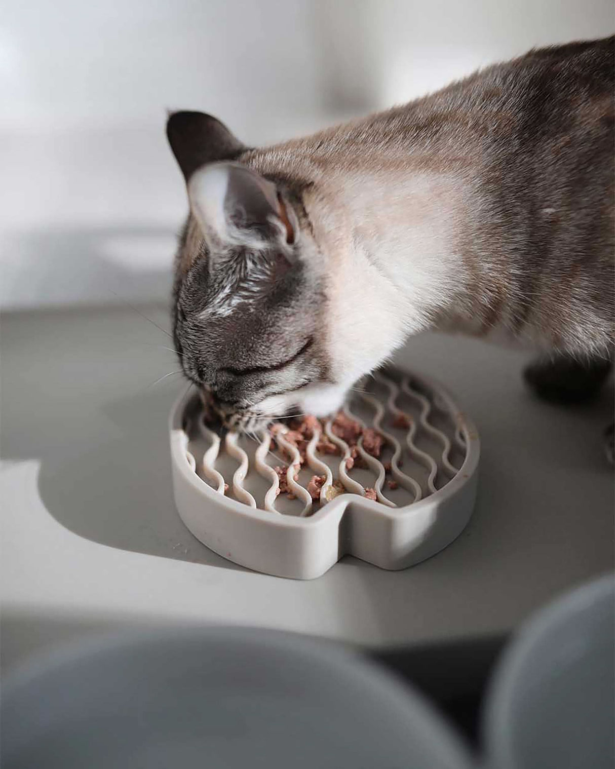 PESCE CAT ACTIVITY TOY | משטח ליקוק לחתולים