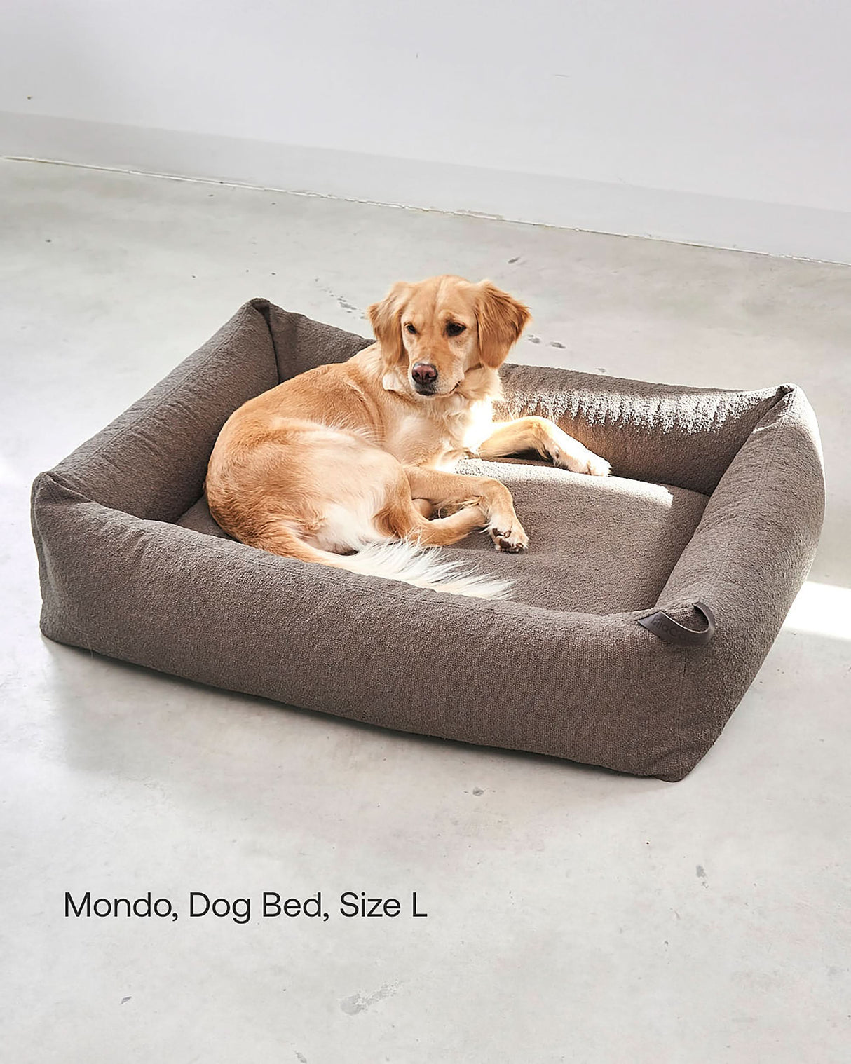 מיטה אורתופדית לכלב | MONDO DOG BOX BED