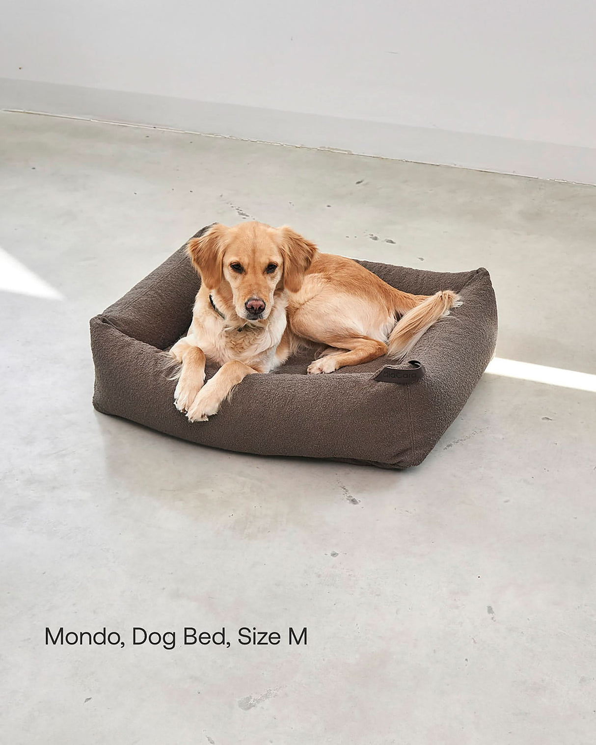 מיטה אורתופדית לכלב | MONDO DOG BOX BED