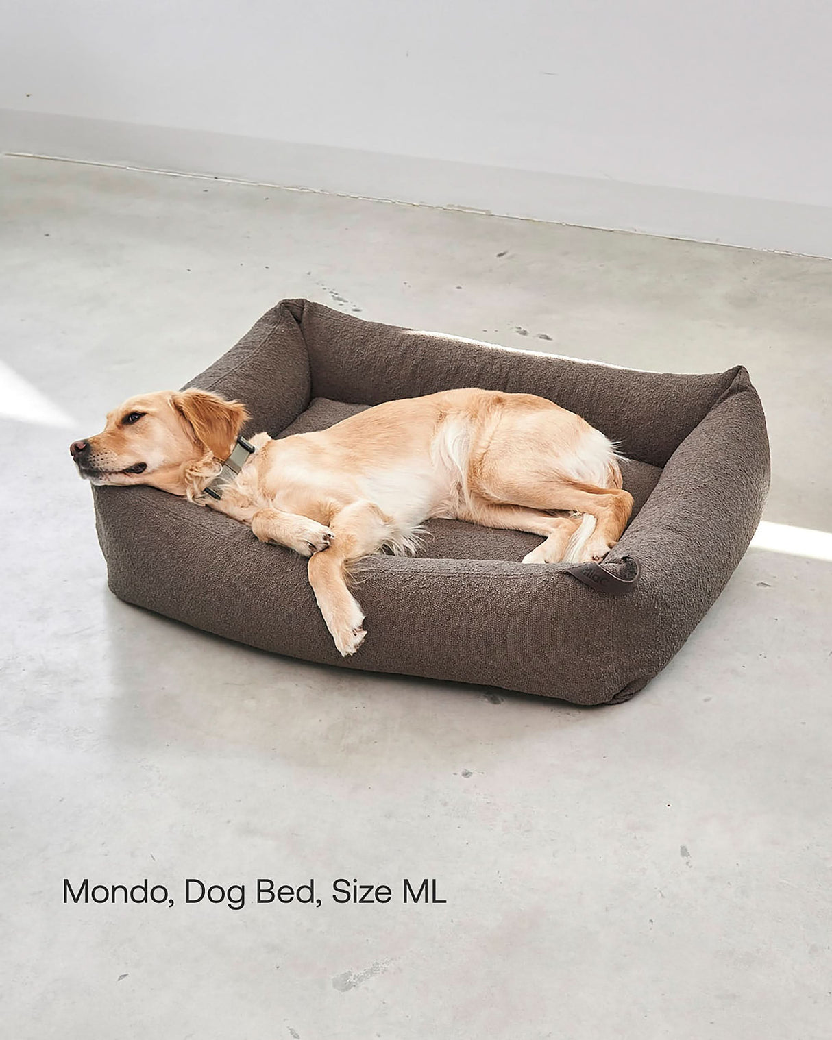 מיטה אורתופדית לכלב | MONDO DOG BOX BED