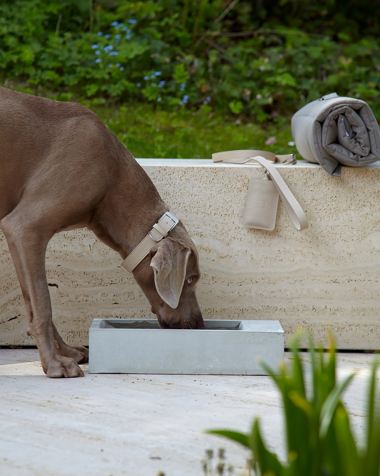 קערת מים בחוץ TROGOLO | קערת מים לחצר לכלב ולחתול