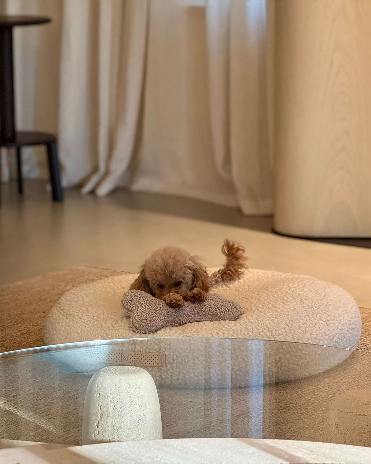 FULVIO BOUCLÉ WOOL BED | מיטת פוף לכלב