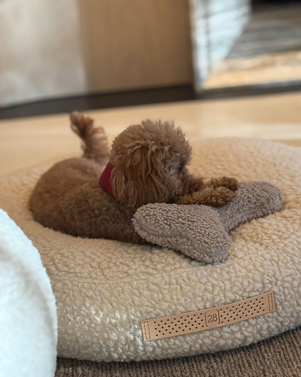 FULVIO BOUCLÉ WOOL BED | מיטת פוף לכלב