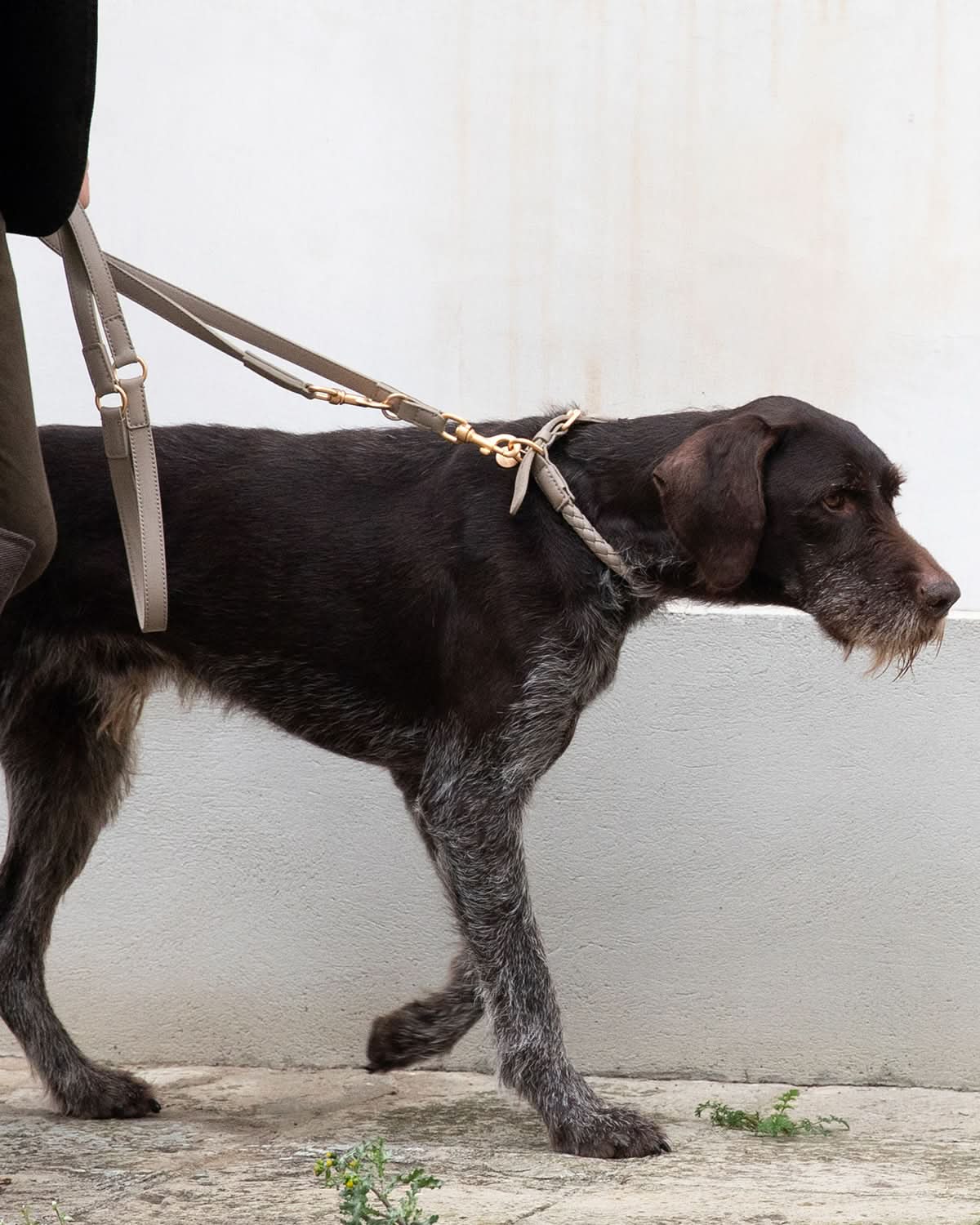 MARIO ADJUSTABLE LEATHER LEASH | רצועת עור מתכווננת לכלב