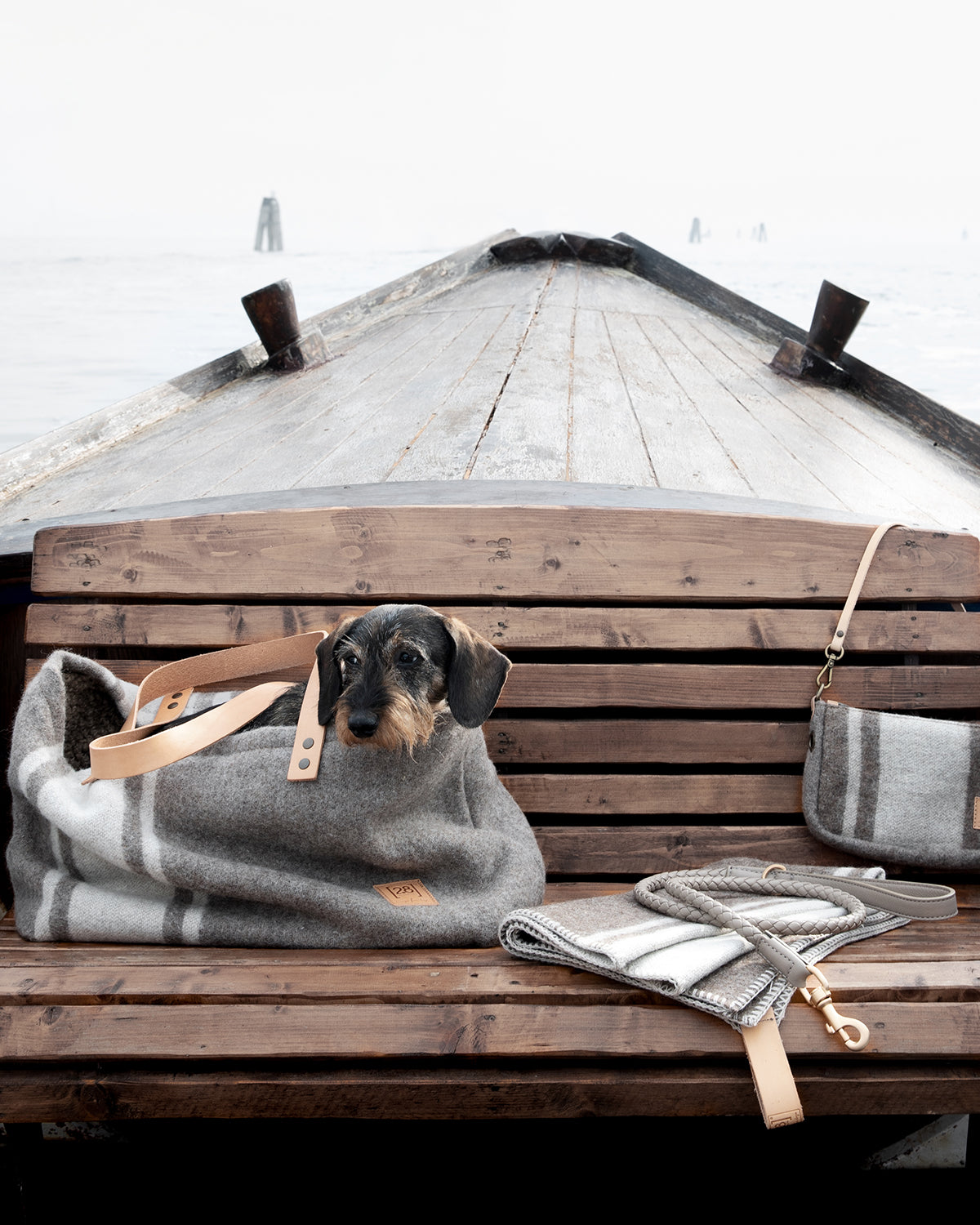 תיק נשיאה לכלב