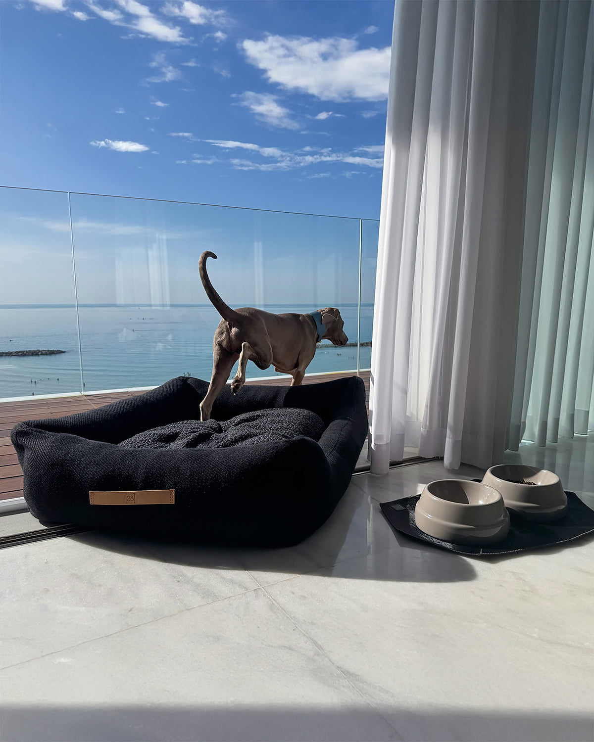 פלייסמט לקערות לכלבים