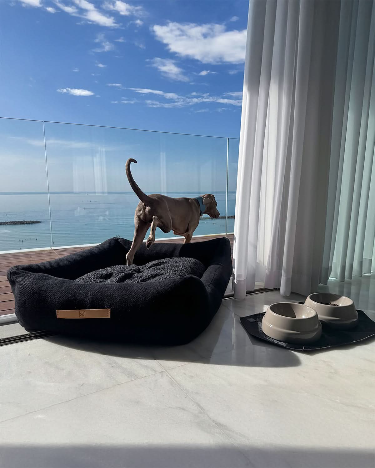 פלייסמט לקערות לכלבים