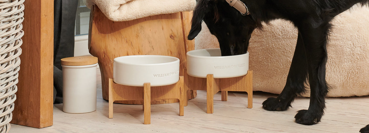 Elevated Dining Collection