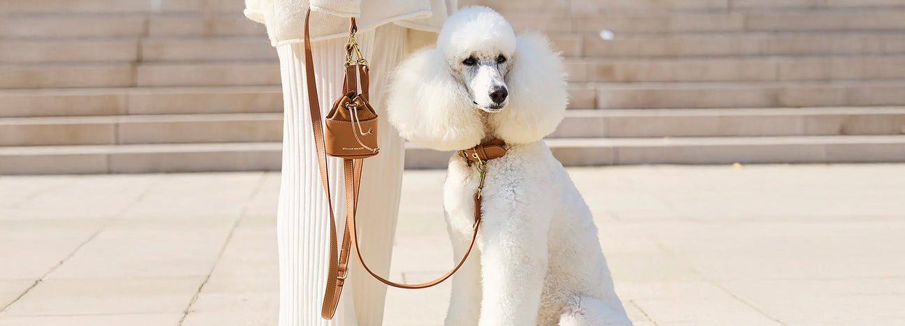 Luxe Smooth Nappa Leather Collection