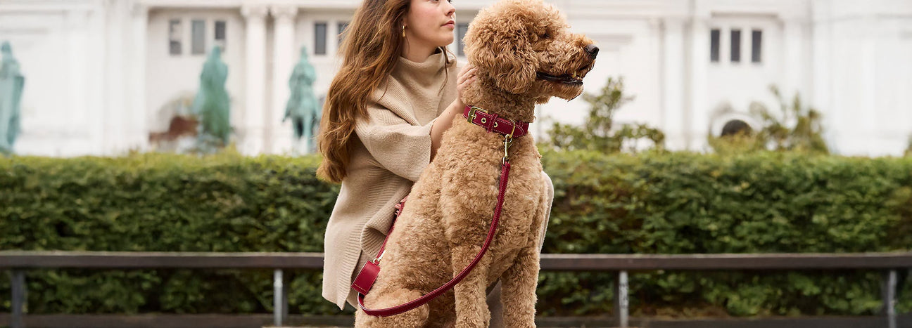 Luxe Suede Leather Collection