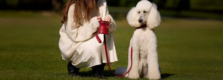 Long and Adjustable Leather Dog Leashes By William Walker