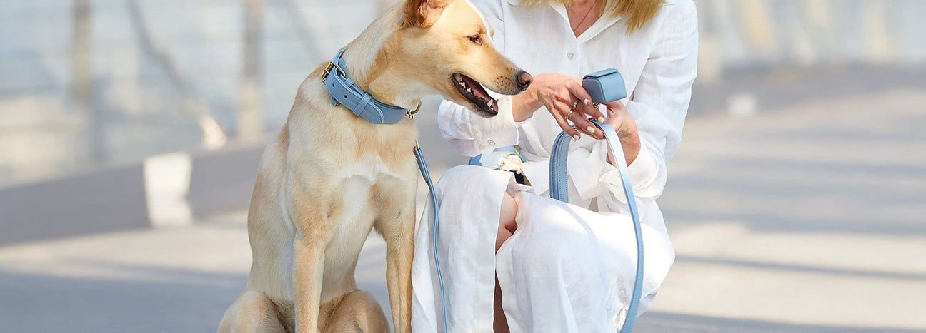 Plain Leather Collection