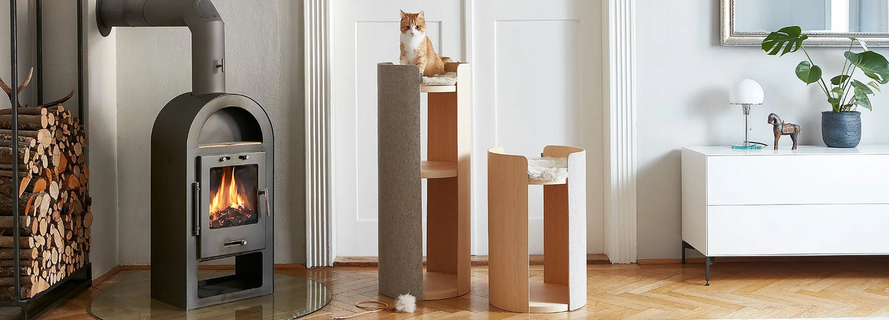 Beautiful Living With Your Cat
