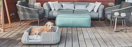 Outdoor Living Collection | קולקציית החוץ
