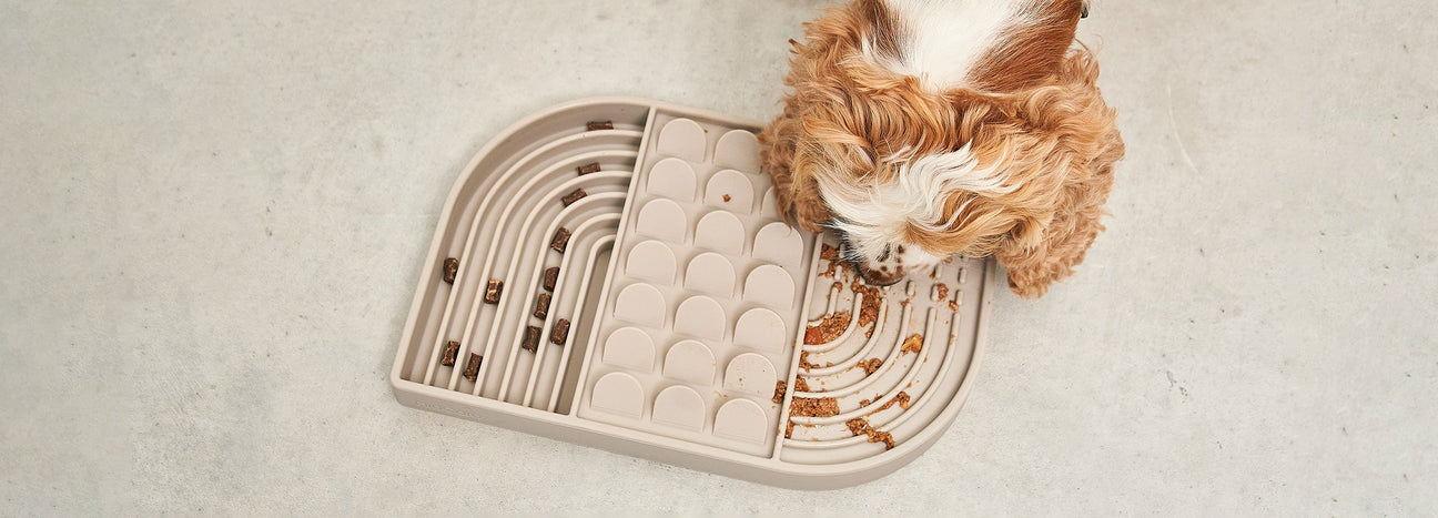 משטחי ליקוק לכלבים ולחתולים