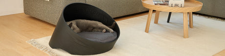 MiaCara Cat Beds