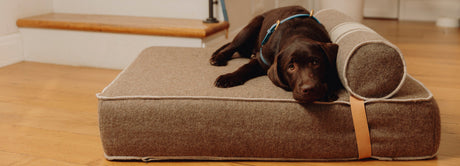 MILKA'S LIVING ROOM LOOKBOOK