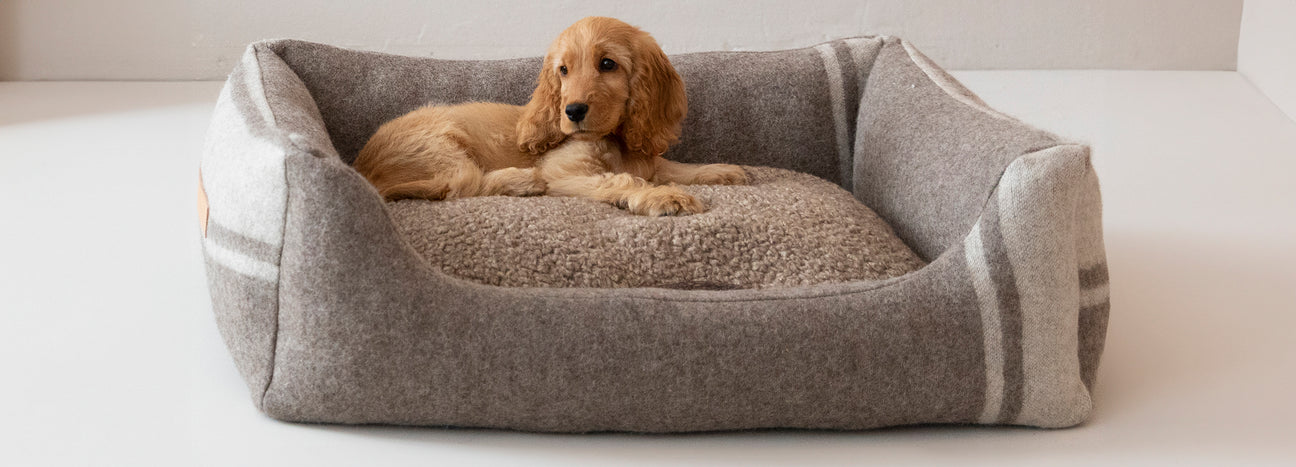 Henri Dog Beds