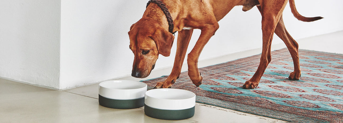 Ceramic & Porcelain Bowls