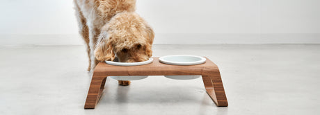 High Dog Bowls Stands