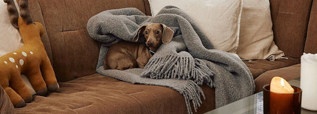 MiaCara Blankets