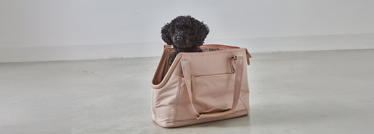 Limited Nude Collection
