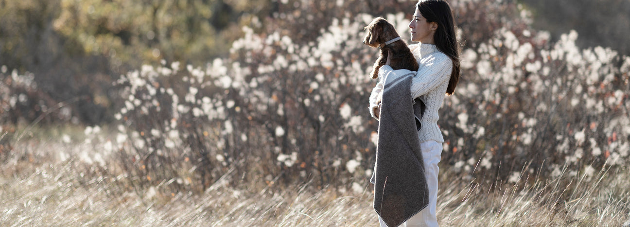 Dog Blankets