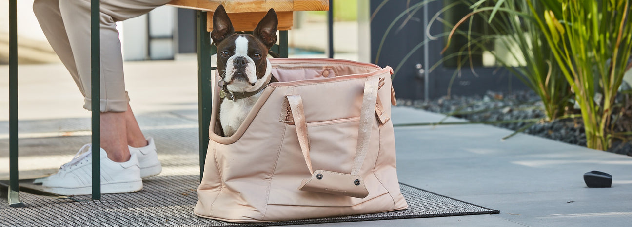 Dogs & Humans Bags