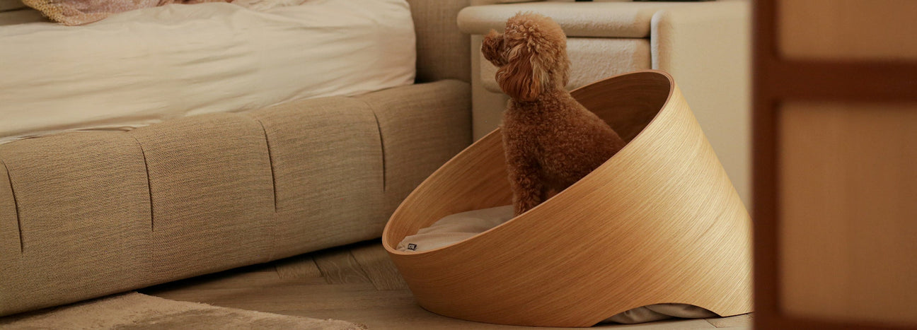 Our Best Sellers – For You & Your Dog