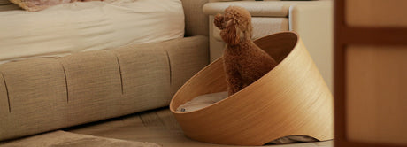 Our Best Sellers – For You & Your Dog