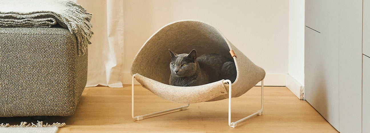 New Arrivals For Cats