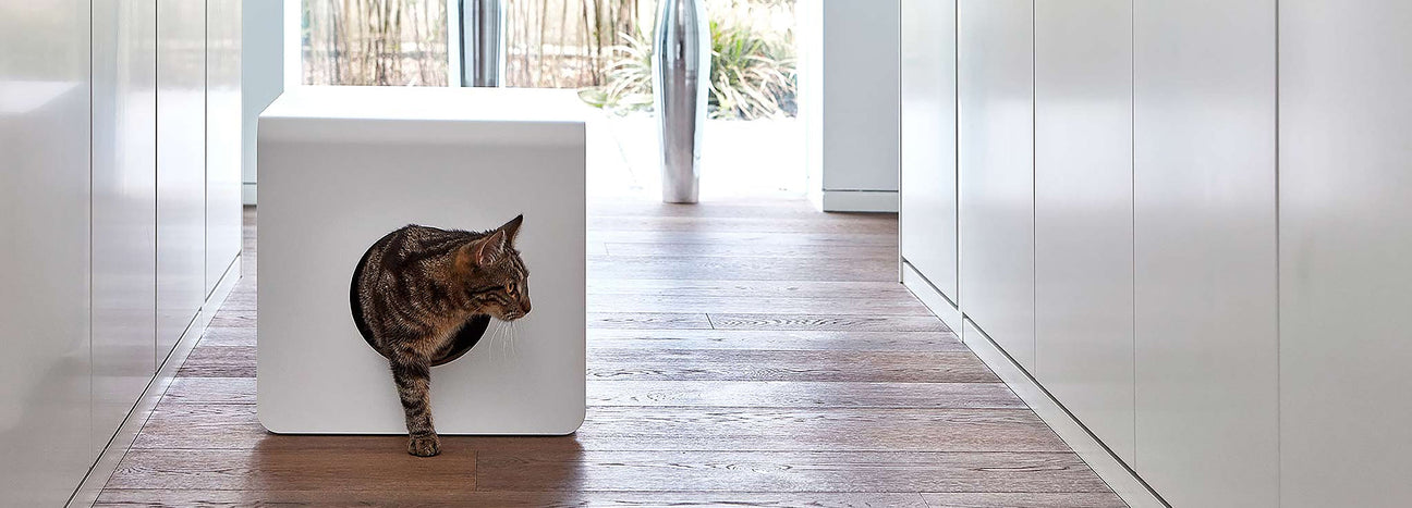 Our Best Sellers – For You & Your Cat