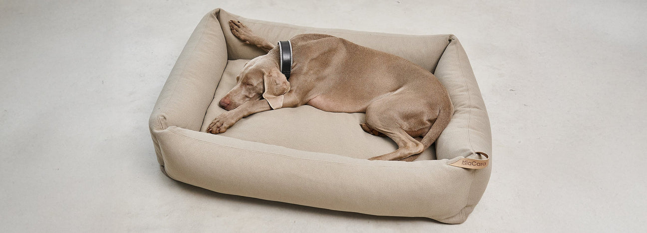 מיטות אורתופדיות לכלבים ולחתולים
