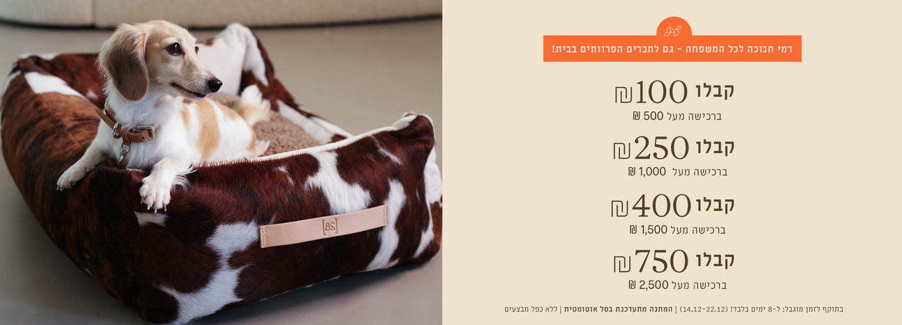 חגיגת דמי חנוכה בבון סטריט