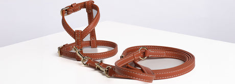 Nappa Leather with Shiny Gold