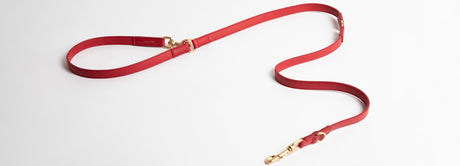 Mario Nappa Leather Adjustable Leash