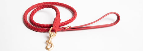 Ferdinando Leashes