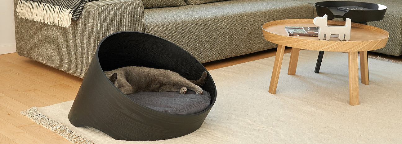 Cozy Cats Winter Edit