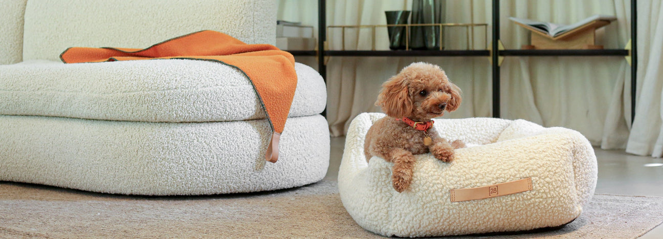 Cozy Winter Lookbook