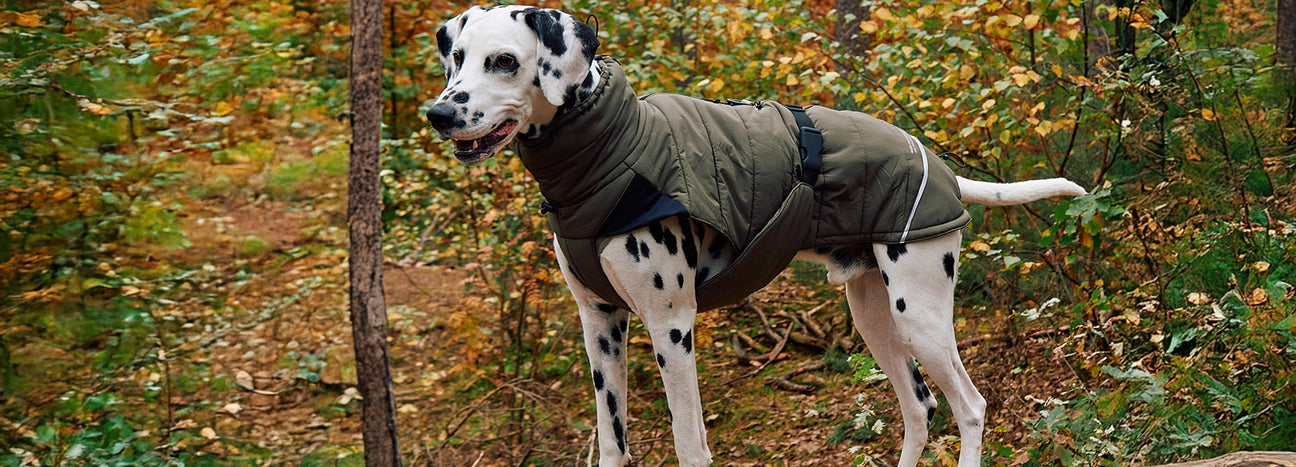 Ready for the Winter Outdoors