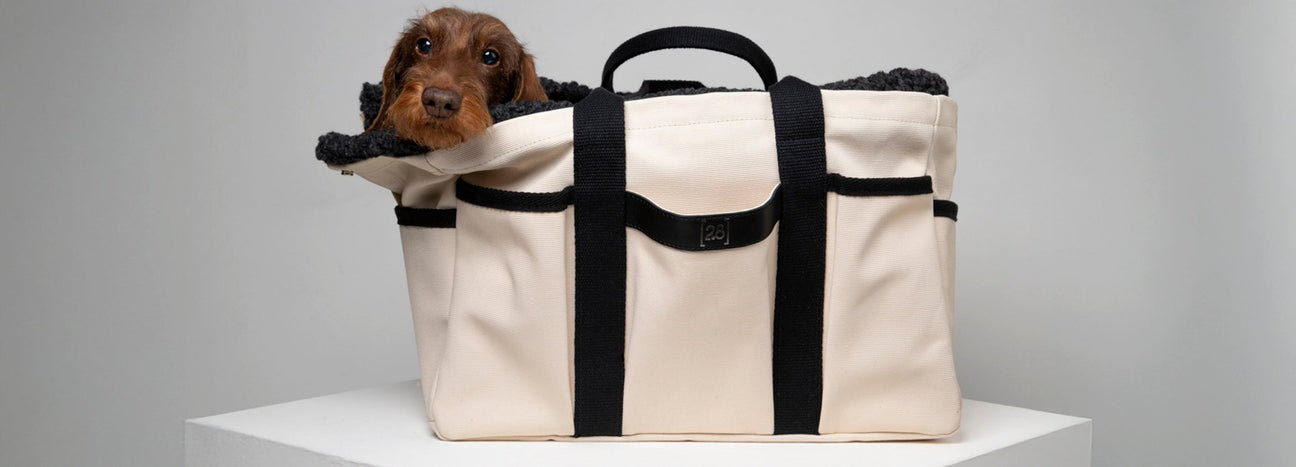 TRAVEL - BLACK FRIDAY